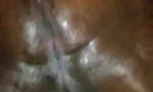 பெரிய கழுதை மற்றும்  ...