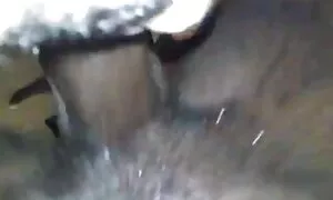 கருங்காலி ராணி என் ட ...